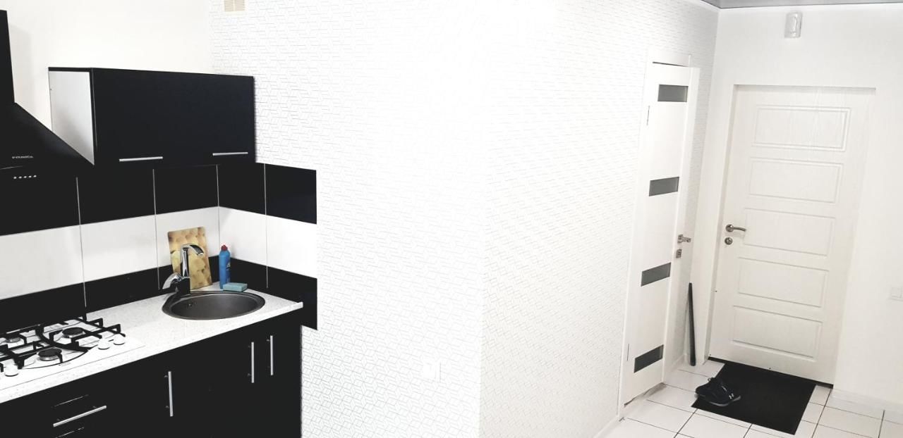 Апартаменты Lux City Center in Kvartal 95 Кривой Рог-16